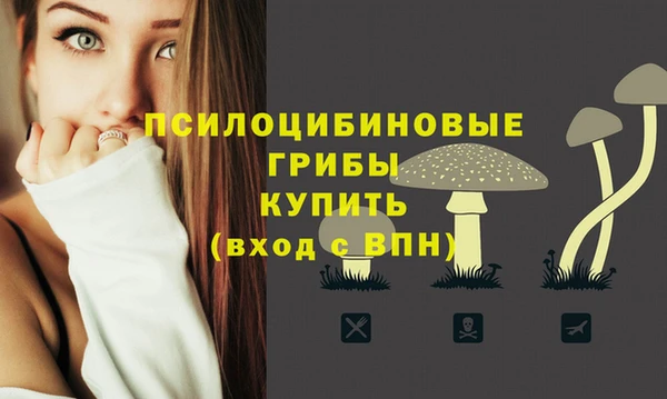 СК Алексин