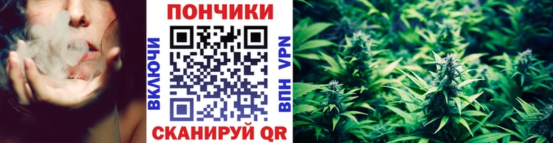 это Telegram  продажа наркотиков  mega ONION  Гагарин  Шишки марихуана Ganja 